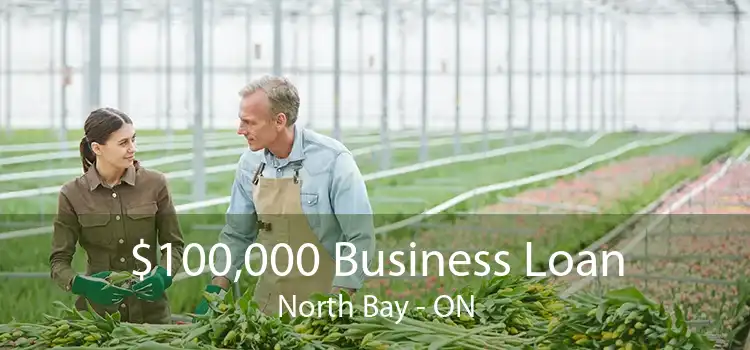 $100,000 Business Loan North Bay - ON