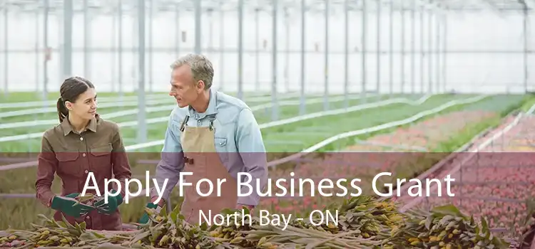 Apply For Business Grant North Bay - ON